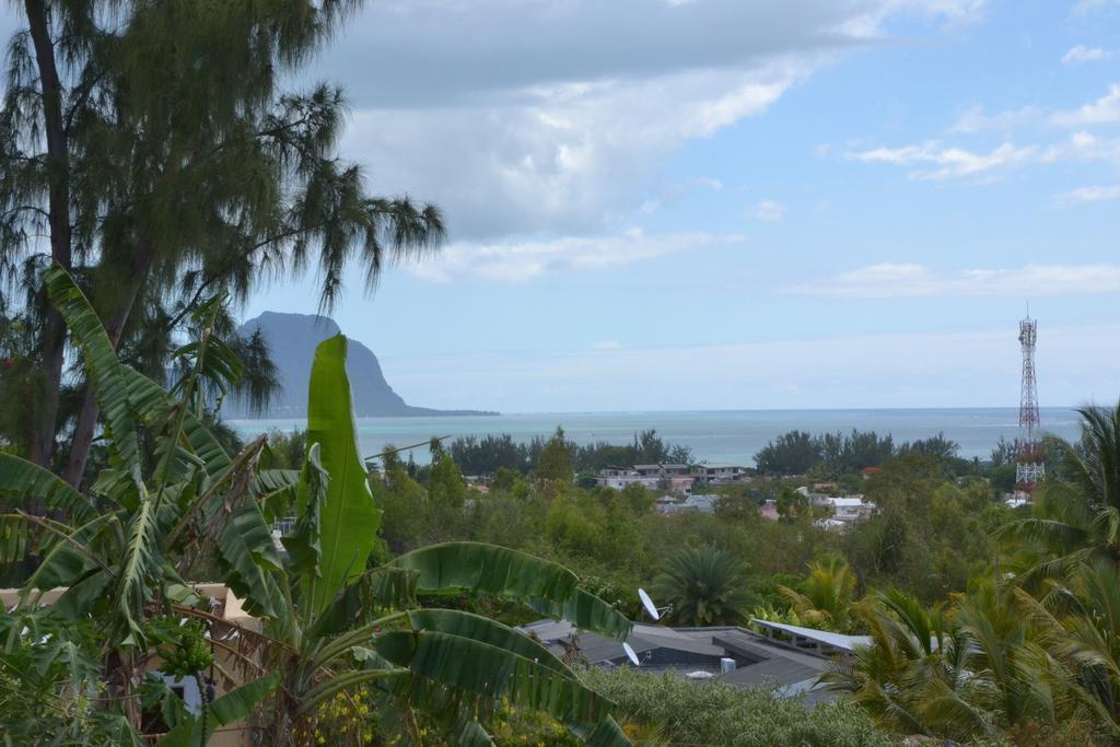 Terre Et Mer - Studios - Ile Maurice Rivière Noire Exterior foto